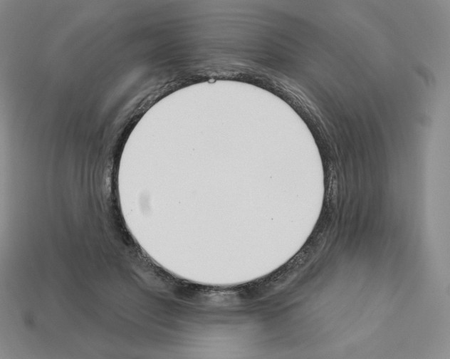 X0000112860501200910021315