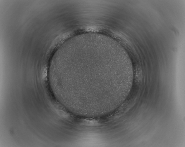 X0000112860502200910021315