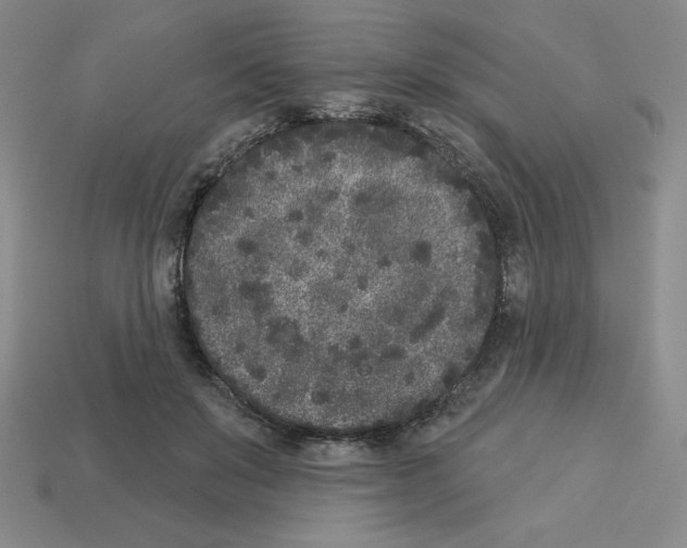X0000112860503200910021315
