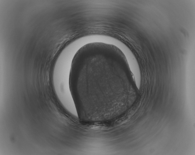X0000112860504200910021315