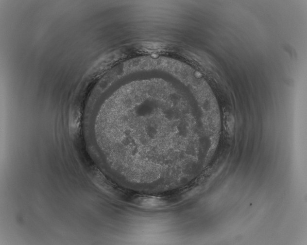 X0000112860507200910021314