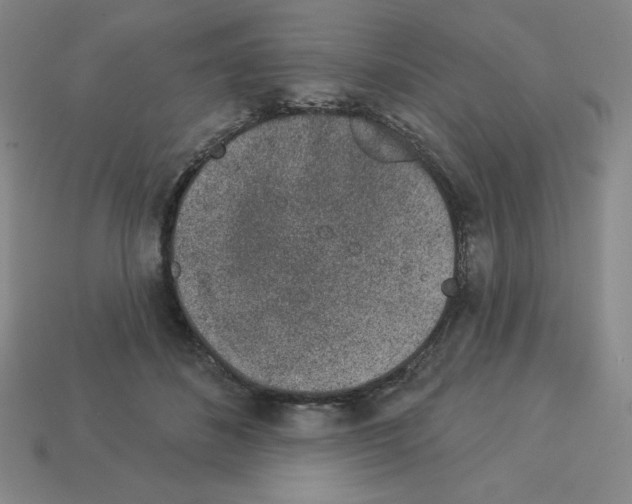 X0000112860508200910021314