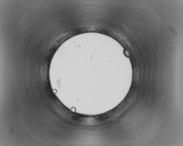 X0000112860509200910021314
