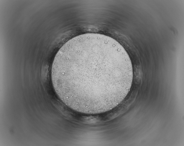 X0000112860511200910021314