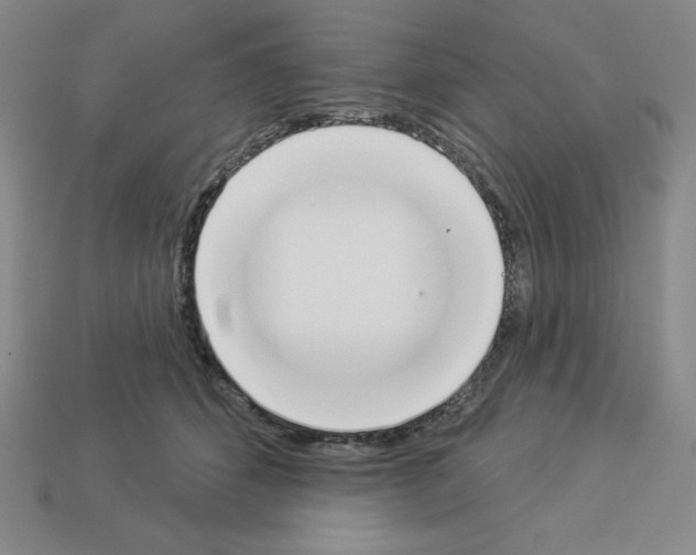 X0000112860512200910021314