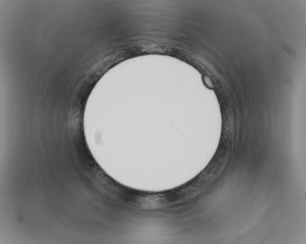 X0000112860513200910021314