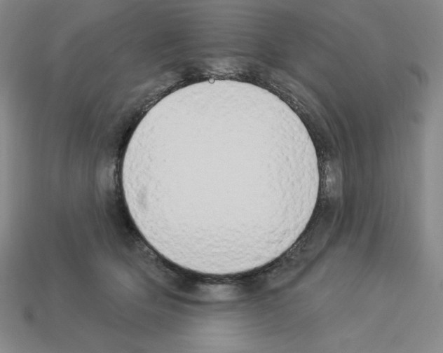 X0000112860514200910021314