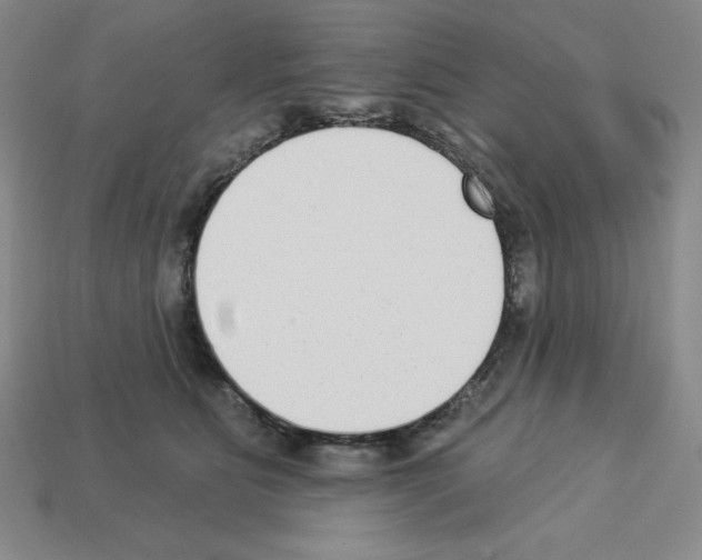 X0000112860515200910021314