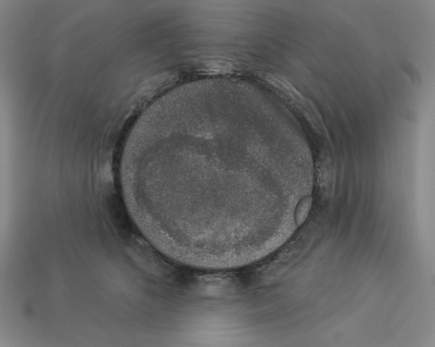 X0000112860516200910021314