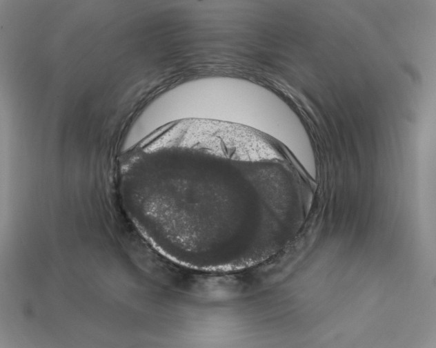 X0000112860517200910021314