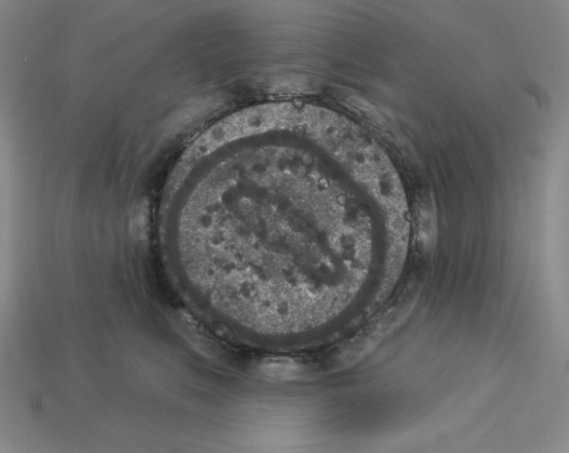 X0000112860519200910021314