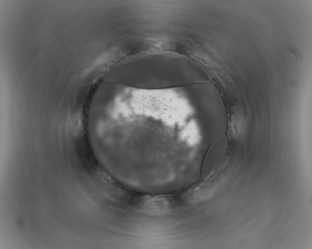 X0000112860520200910021314