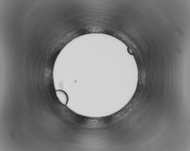 X0000112860521200910021314