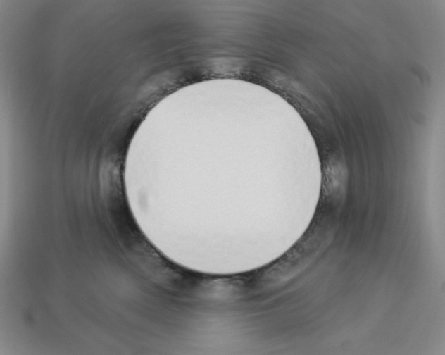 X0000112860522200910021314