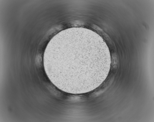 X0000112860523200910021314