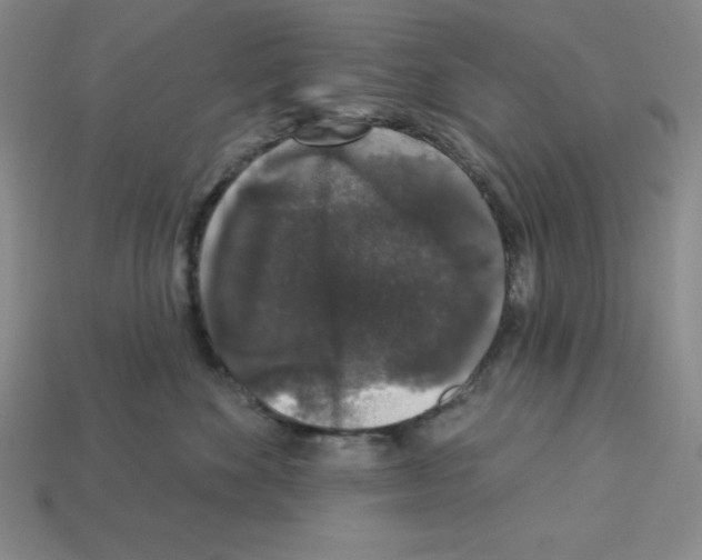 X0000112860524200910021314
