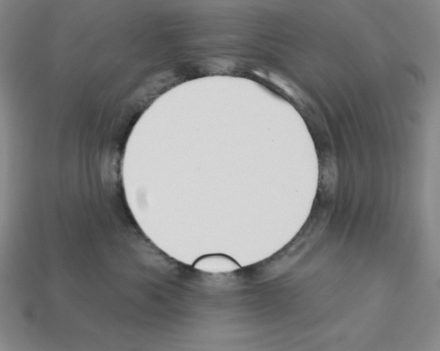 X0000112860525200910021314
