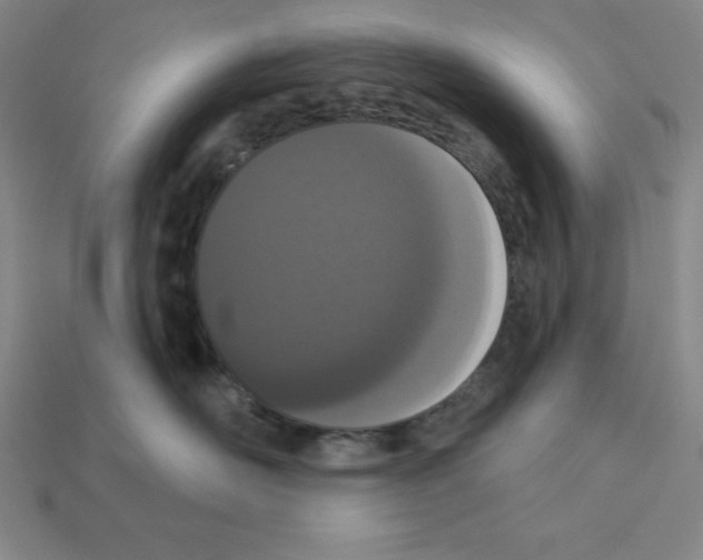 X0000112860526200910021314