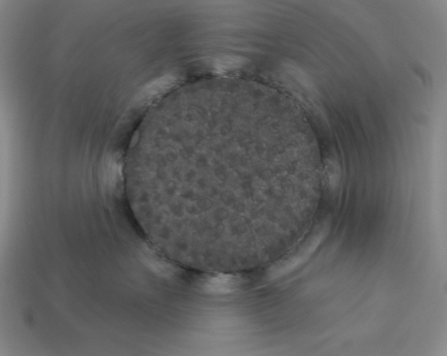 X0000112860527200910021314