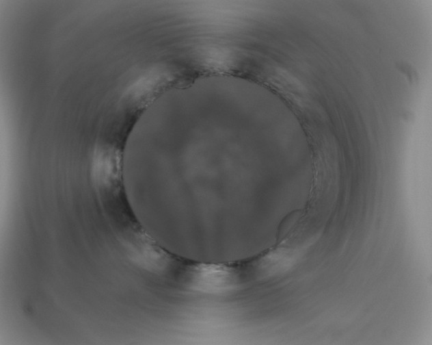 X0000112860528200910021314