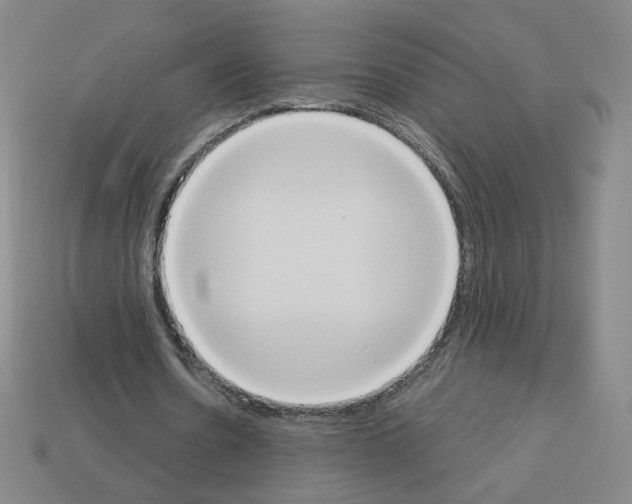 X0000112860530200910021313