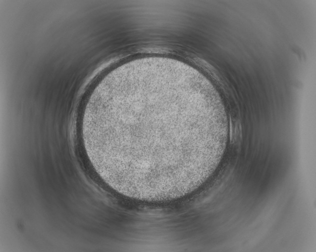 X0000112860531200910021313