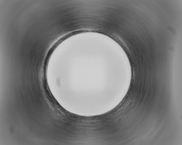X0000112860532200910021313