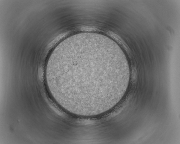 X0000112860533200910021313