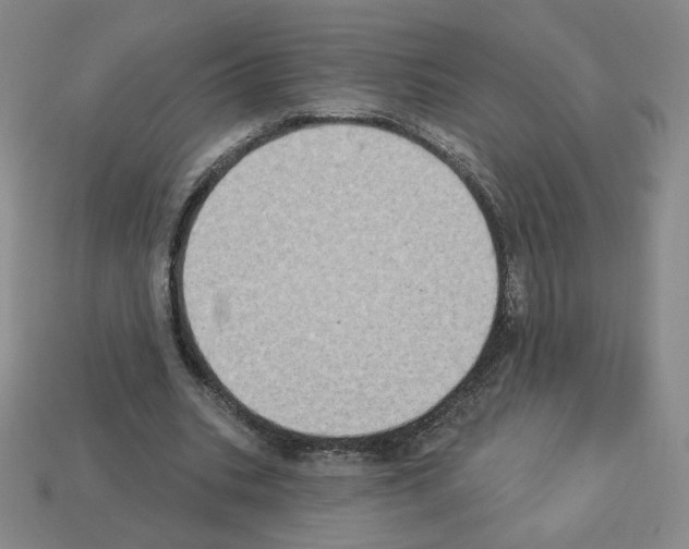 X0000112860535200910021313
