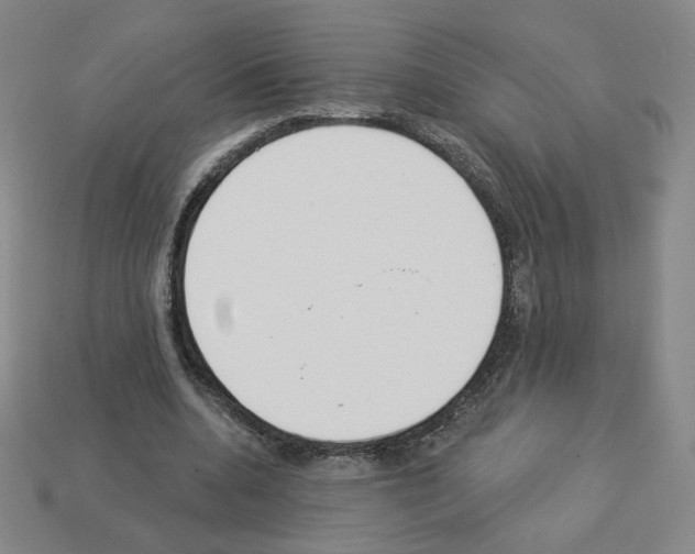 X0000112860536200910021313