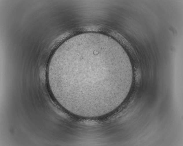 X0000112860537200910021314