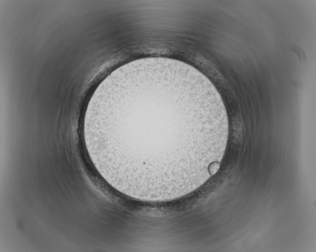 X0000112860538200910021314