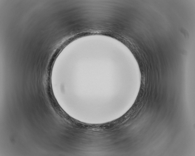 X0000112860540200910021314