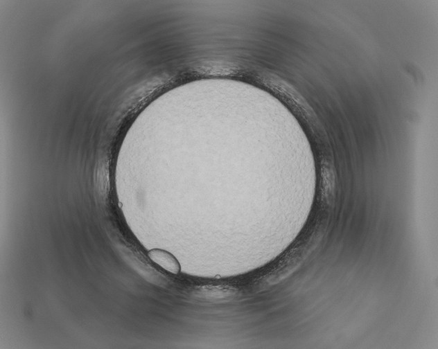X0000112860541200910021314