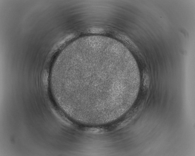 X0000112860542200910021314