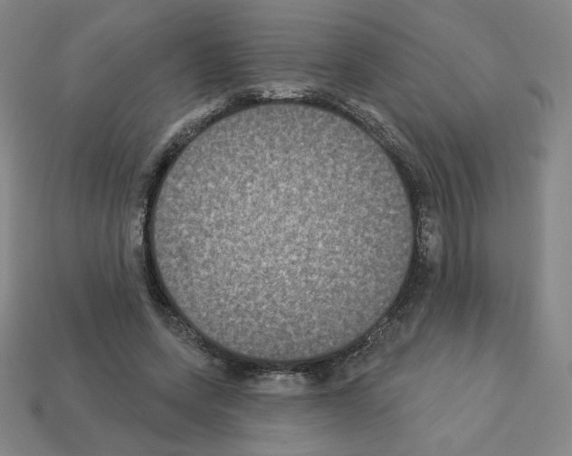 X0000112860543200910021314