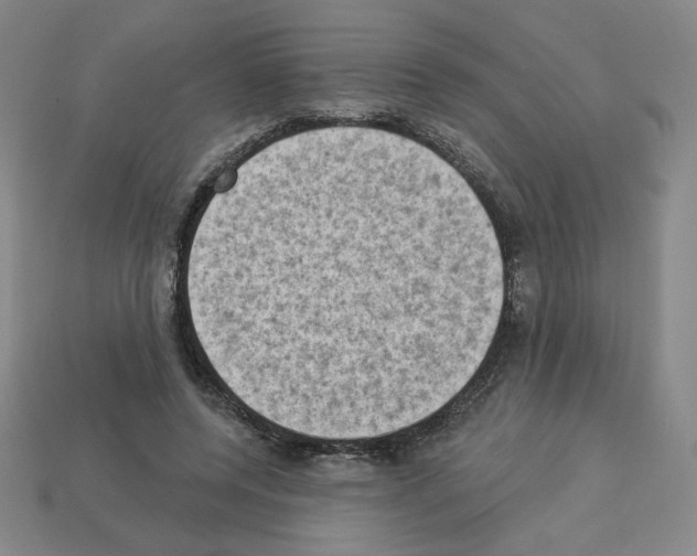 X0000112860544200910021314
