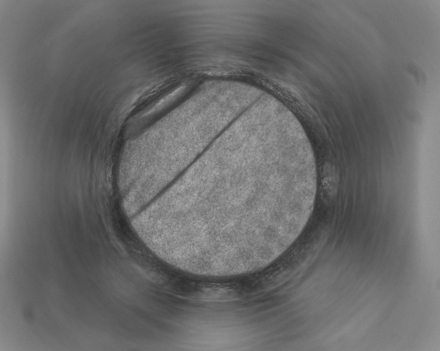 X0000112860547200910021314