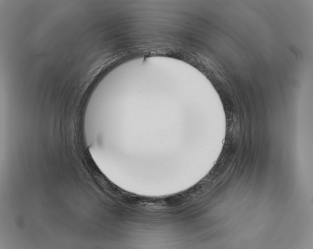 X0000112860548200910021314