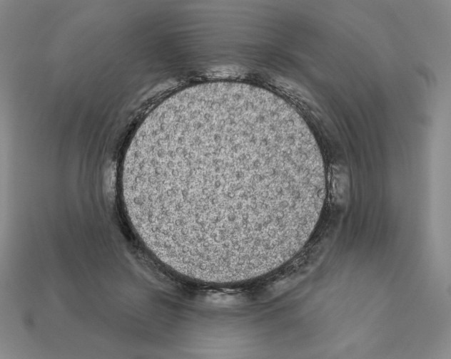 X0000112860550200910021314