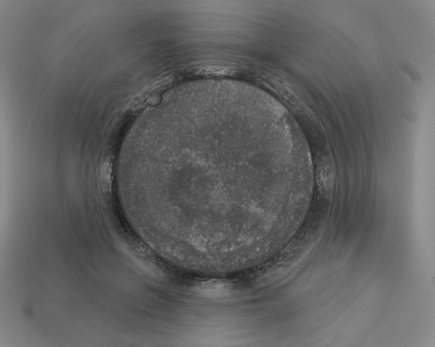 X0000112860551200910021314