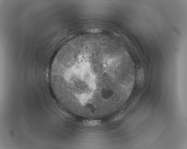 X0000112860553200910021314