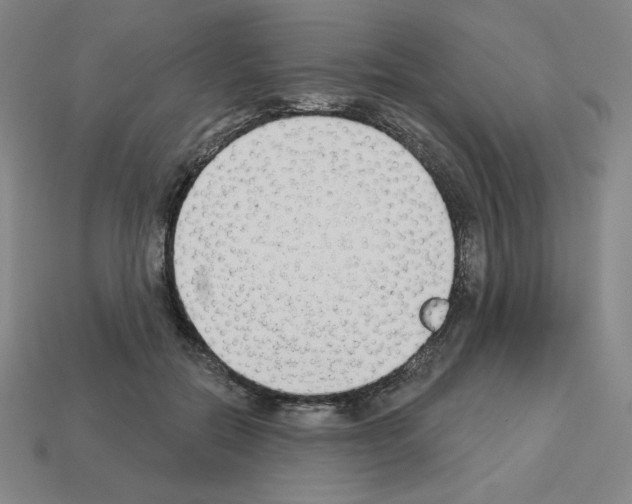 X0000112860554200910021314