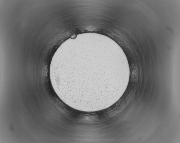 X0000112860555200910021314