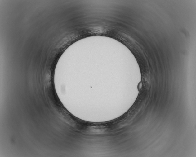 X0000112860556200910021314