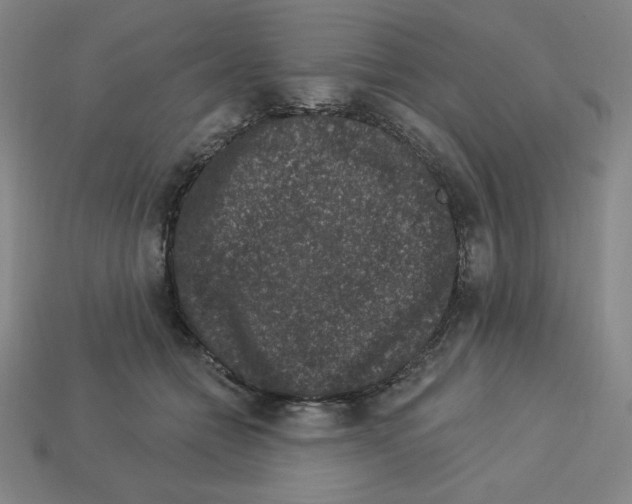 X0000112860558200910021314