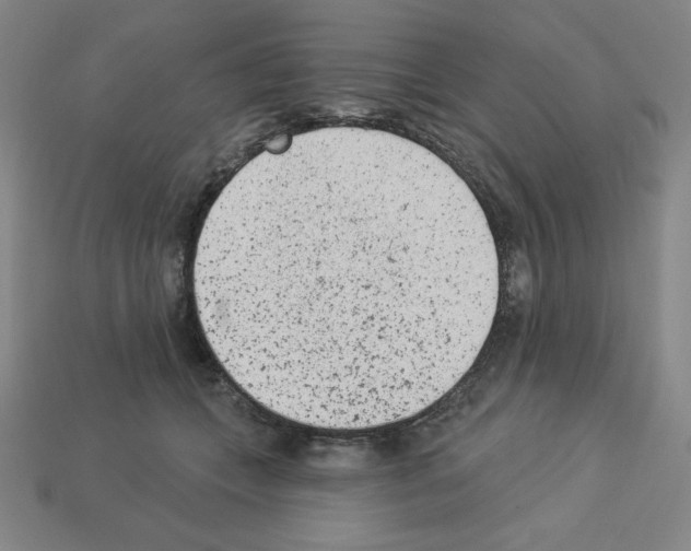 X0000112860559200910021314