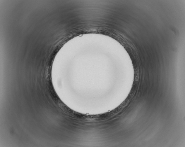 X0000112860560200910021314