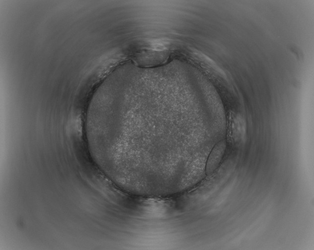 X0000112860562200910021314
