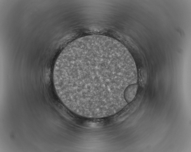 X0000112860563200910021314